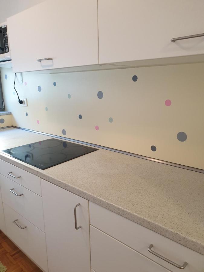 Apartment Emma Ljubljana - Free Parking, Ac, Wifi Екстериор снимка