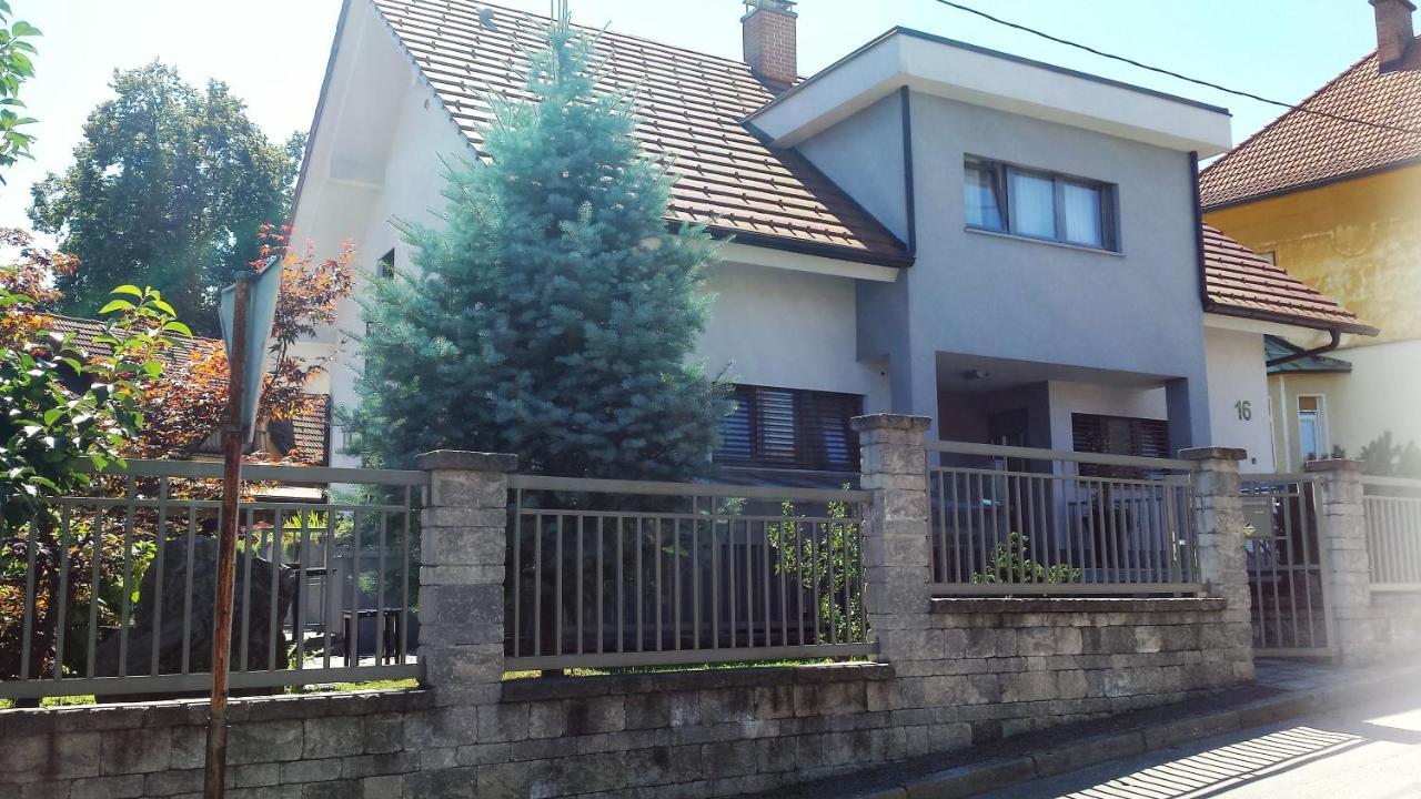 Apartment Emma Ljubljana - Free Parking, Ac, Wifi Екстериор снимка
