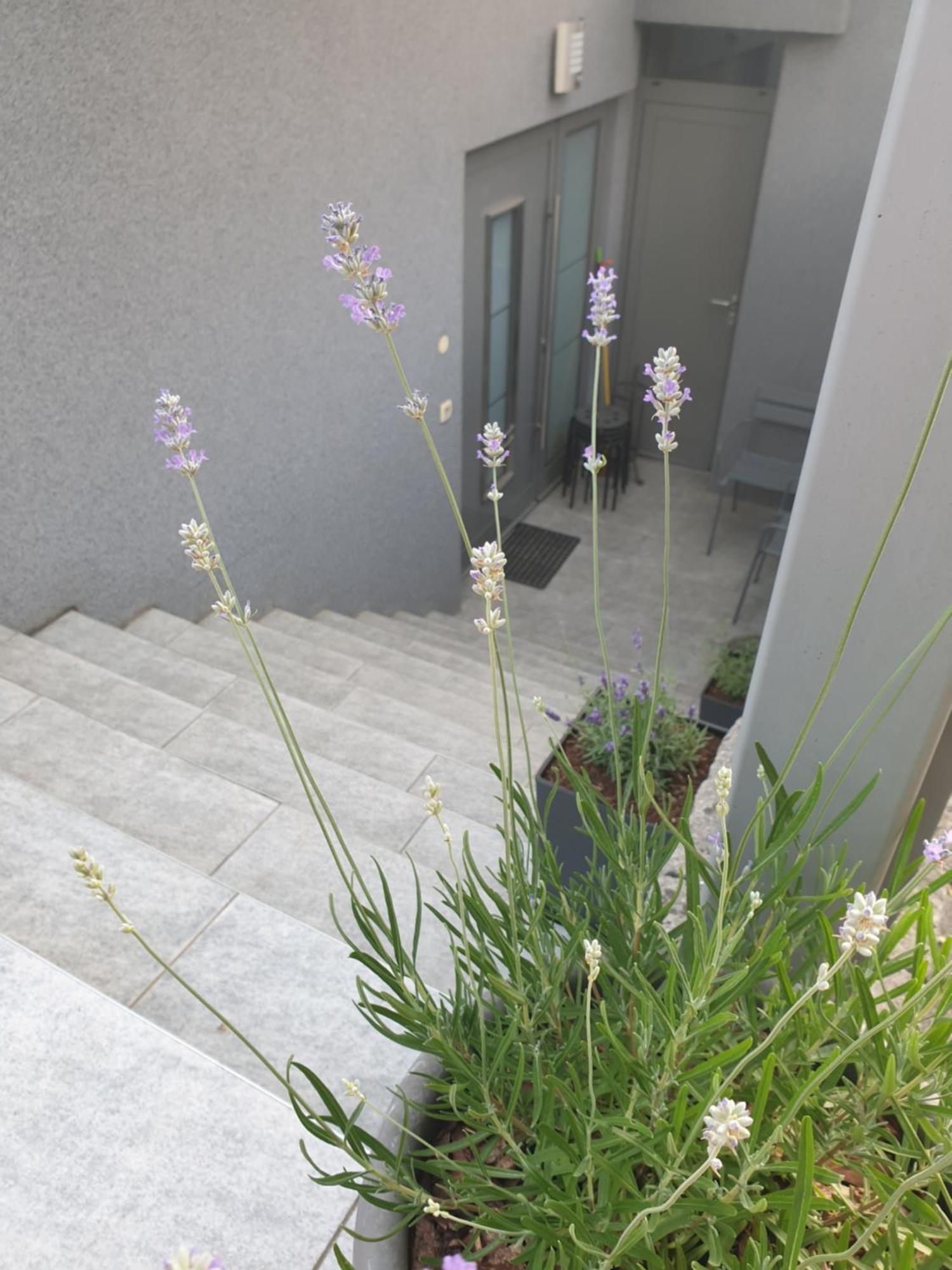 Apartment Emma Ljubljana - Free Parking, Ac, Wifi Стая снимка
